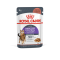 Royal Canin Appetite Control Care – Hrană Umedă pentru Pisici în Sos, 85 g